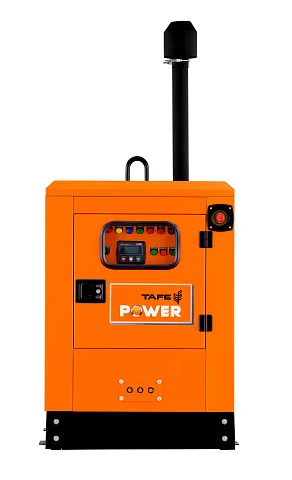 Дизельный генератор TAFE Power TAF-P-45W 1 фаза — фото 2