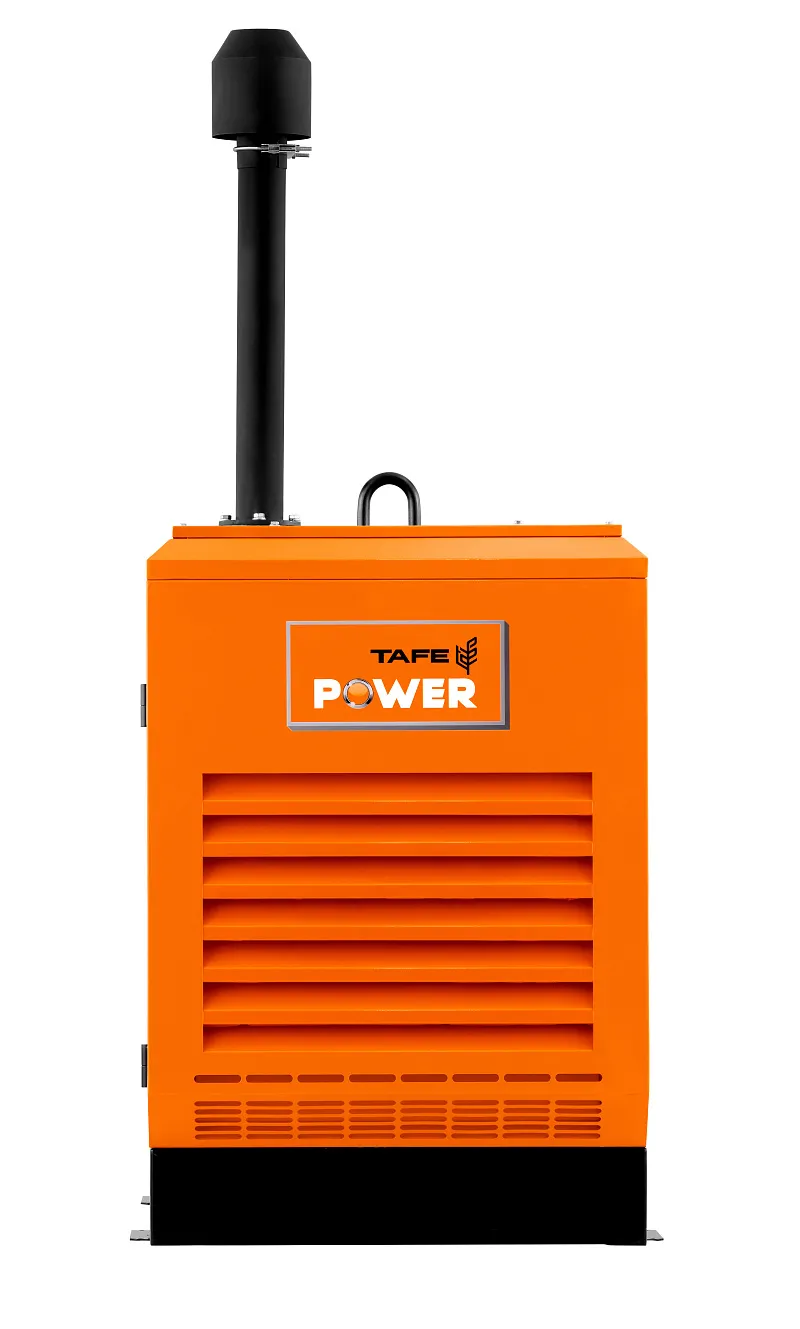 Дизельный генератор TAFE Power TAF-P-40W
